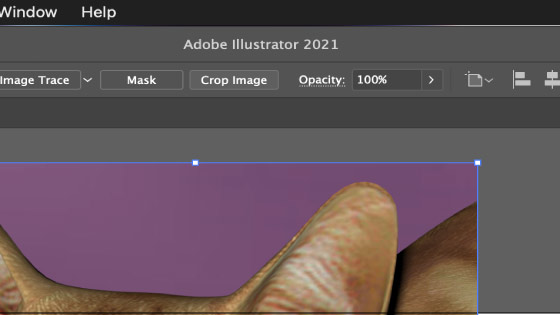 crop image button in Adobe Illustrator tutorial