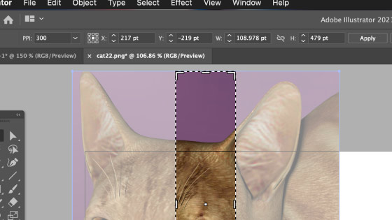 cropping small part of image in Adobe Illustrator