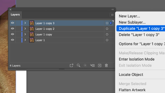 duplicate layers of the cat for cropping