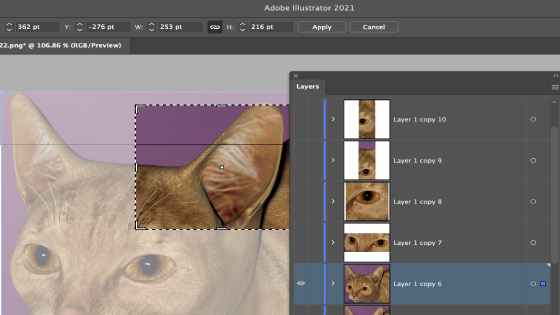 crop and layers panel
