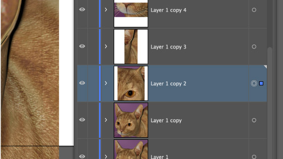 cropping dimensions in Adobe Illustrator