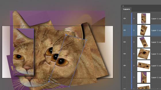 cropping dimensions in Adobe Illustrator