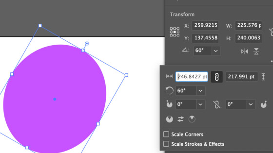 live ellipse tool