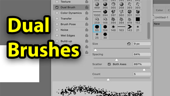 dual brushes in Photoshop