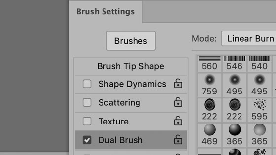 dual brushes in Photoshop panel