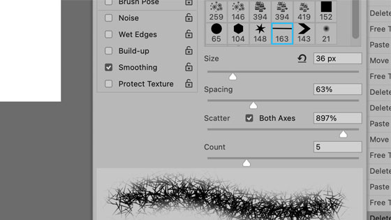 star dual brush