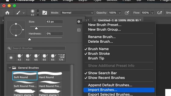 load brushes