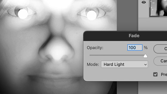 bleary black and white image but this time with fade applied