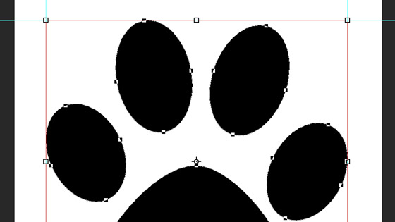 guides created from vector shape