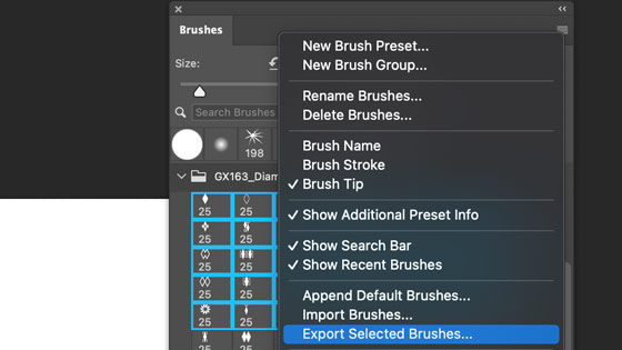 import brushes