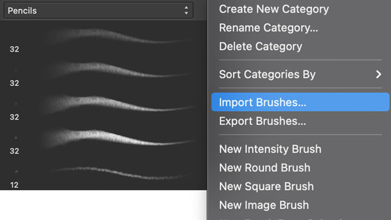 import brushes