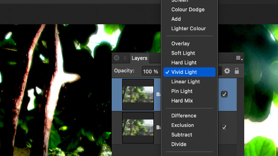 field blur blending
