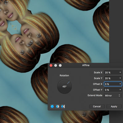 affine filter in affinity photo mirror