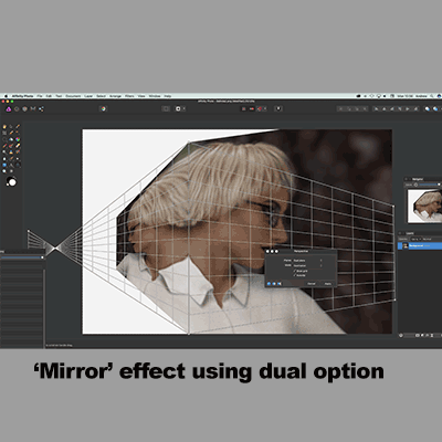 dual mirror distortion in Affinity Photo