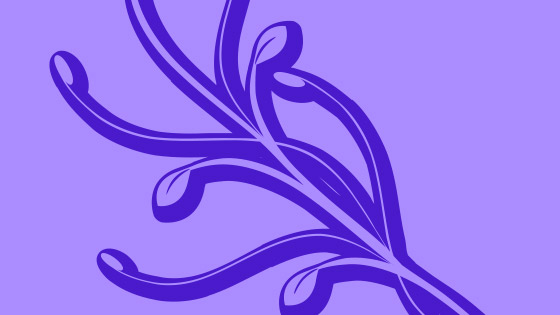 preset shape