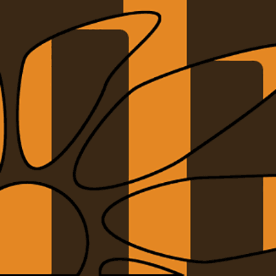 selections path and shape custom in Photoshop