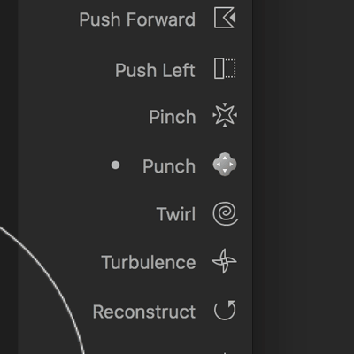 affinity photo liquify controls in photo